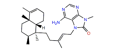 Agelasine V
